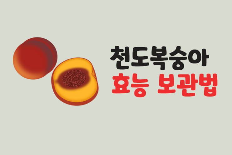  천도복숭아 효능 후숙,보관법