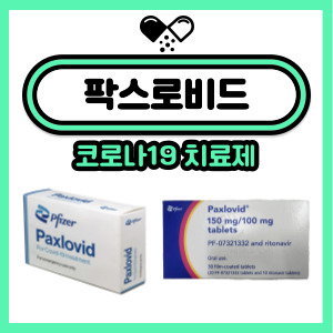  코로나치료제 팍스로비드 복용법, 주의사항, 병용금기약