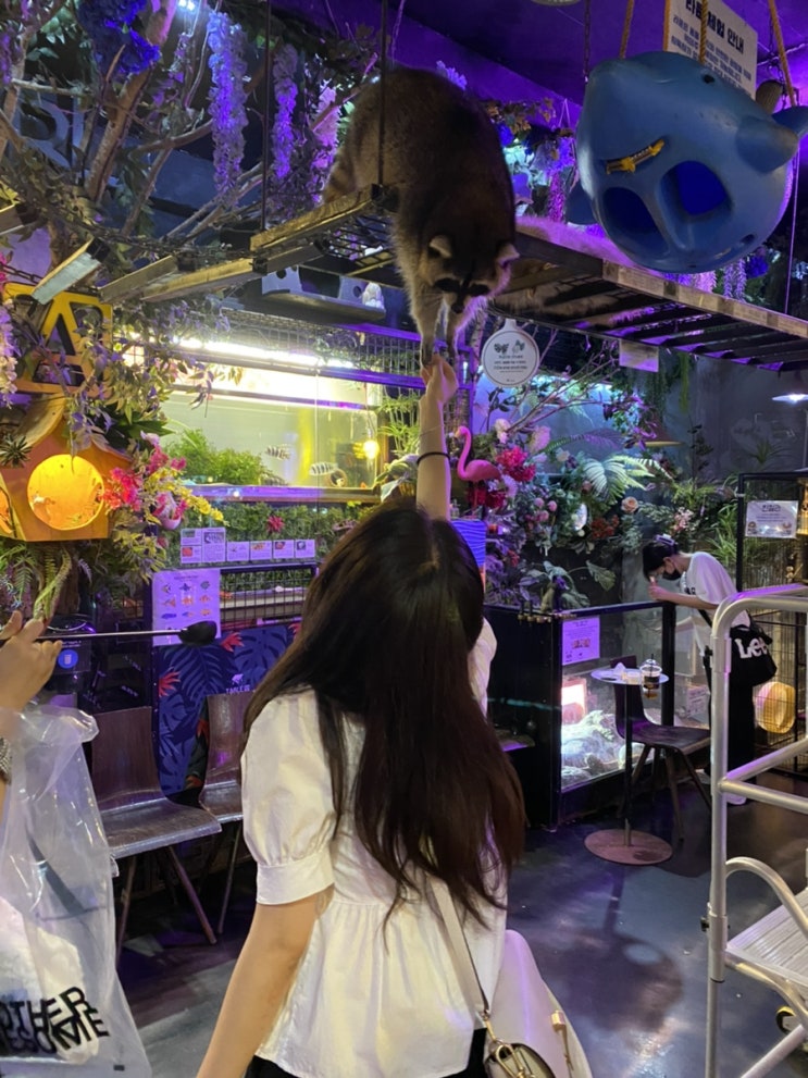  [홍대 이색 데이트] 홍대 실내 동물원 카페ㅣ테이블에이 동물원ㅣ 합정 실내 동물원으로 추천드려요