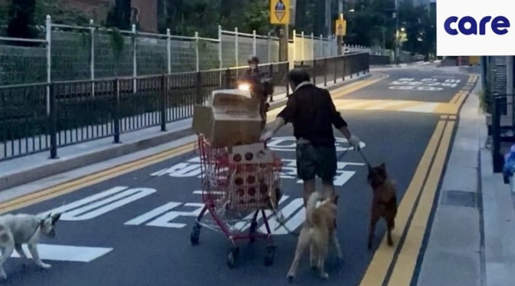  2보 “노예처럼 개들을 쇠사슬로 엮어 학대하는 학대자” 동물권단체케어/ care