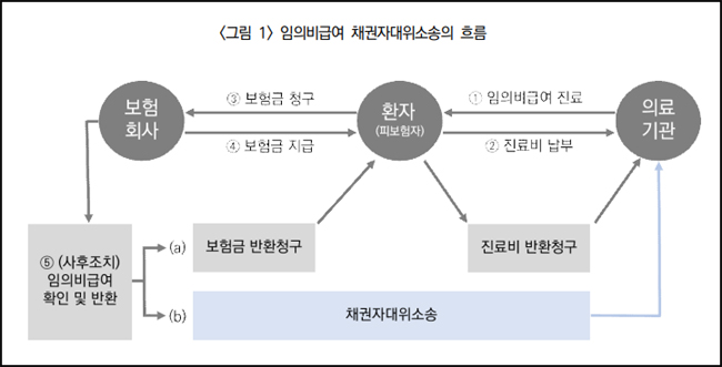 실손보험사가 환자 대신 소송 못하면 소송 2배 늘어난다