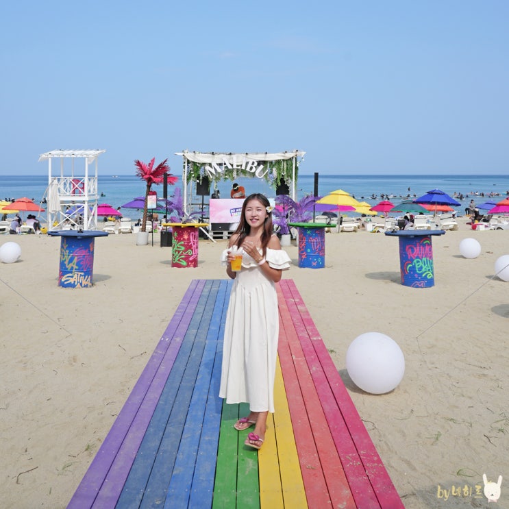 양양 핫플 기사문해변 레인보우비치 말리부 썸머 브리즈 파티 양양 핫플 기사문해변 레인보우비치 말리부 썸머 브리즈 파티