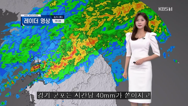  [주간일기 9주차] 물폭탄에도 피어난 희망 한 줌