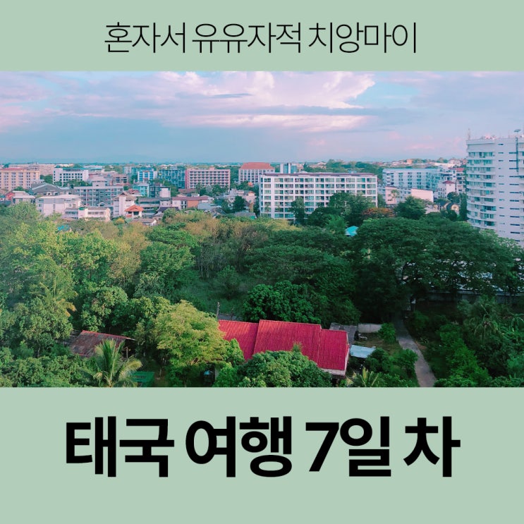  태국 여행 7일차 - 혼자서는 심심한 치앙마이(...)