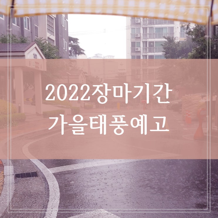 2022 장마기간 올해 두번째 서울 수도권 강원도 비 침수 피해 인증샷 언제 끝날까 (태풍 8호 9호)