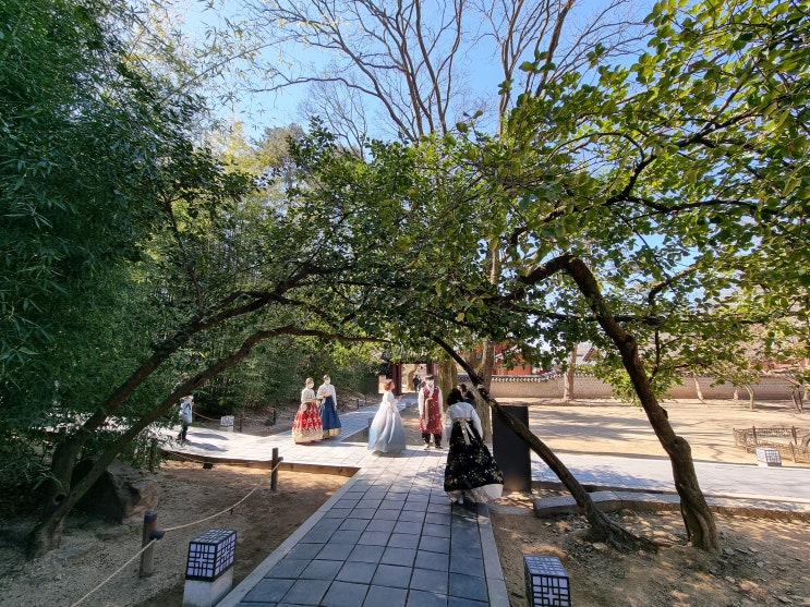  [경기전] 전주 한옥마을 가볼 만한 곳 전주 관광지