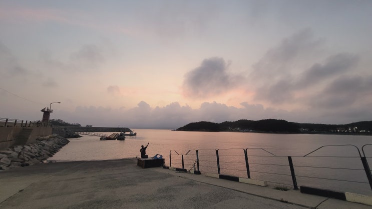  주간일기챌린지 8월2주