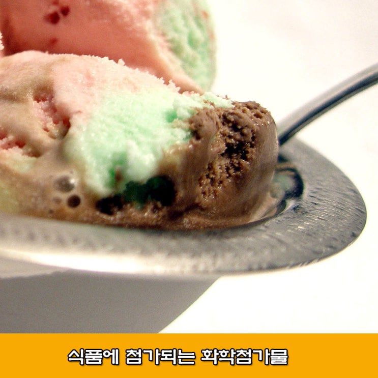  식품에 들어가는 화학 첨가물 종류