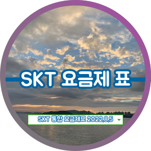 SKT 요금제 총정리 2022.8.5 최신 업데이트