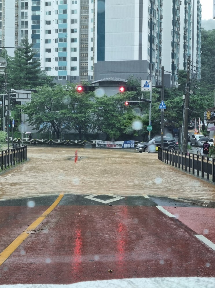  수도권/중부지방 폭우 출근하다 집으로 퇴근하기..