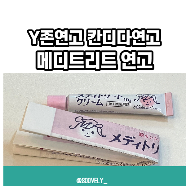  Y존연고 메디트리트 질염연고 일본직구