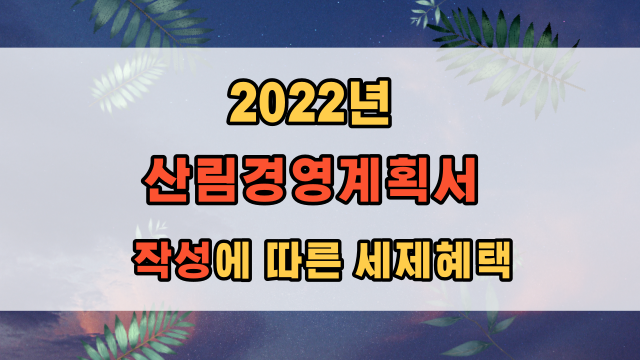  2022년 기준 산림경영계획서 작성에 따른 세제혜택