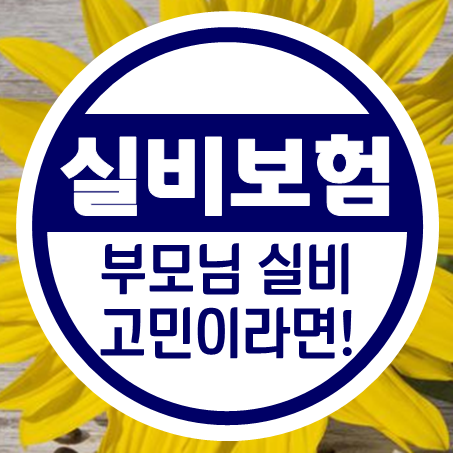  부모님실비보험 비교, 어느 회사를 고를지 고민인 분들을 위해 준비했어요.