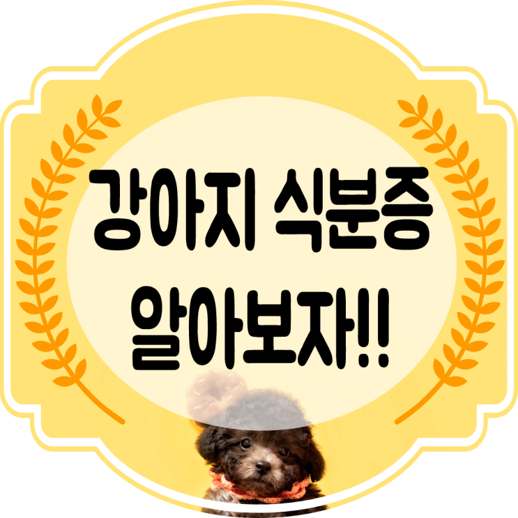  똥먹는 강아지~! 식분증 원인과 해결방법~!