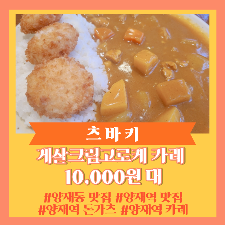  양재역 맛집] 양재역 돈가츠 , 양재역 카레 맛집 "츠바키"