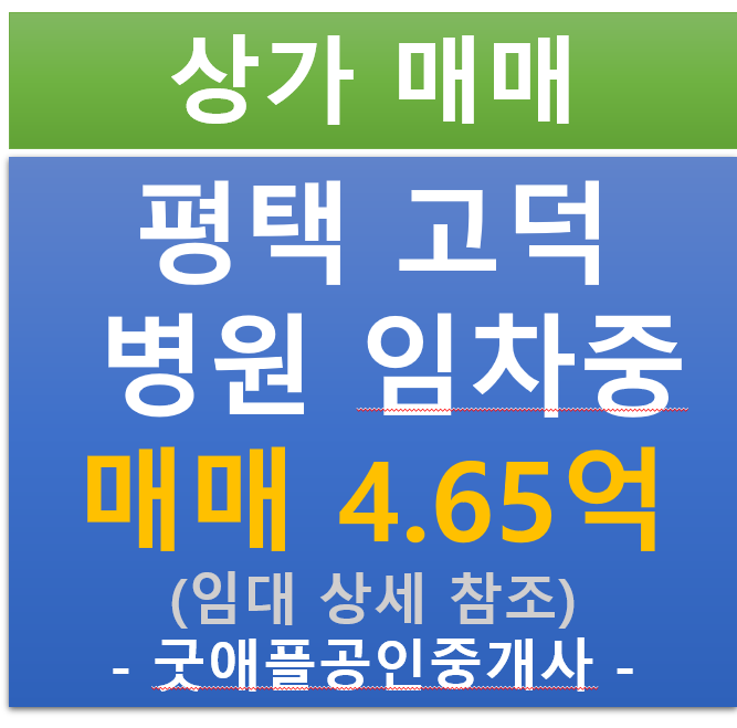 평택 고덕 삼성전자 바로 앞, 뷰 파이브 상가 분양가 이하 급매 평택 고덕 삼성전자 바로 앞, 뷰 파이브 상가 분양가 이하 급매