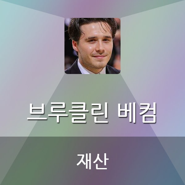  브루클린 베컴 재산