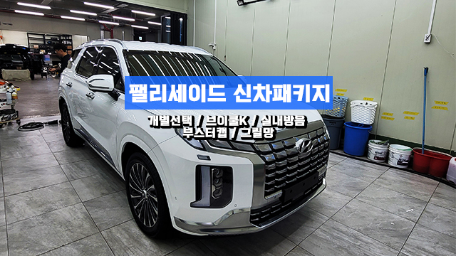  인천 팰리세이드 신차패키지 다양한 작업들은 역시 팀보가!