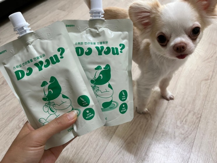  강아지 두유 스위피두유로 산책 후 시원하고 건강하게