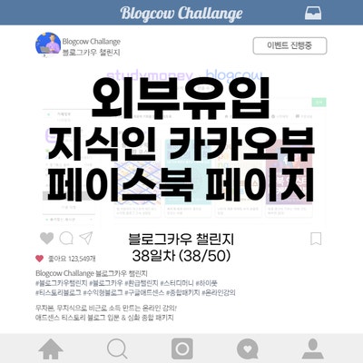  블로그카우 챌린지 38일차 외부유입 (지식인, 카카오뷰, 페북페이지)