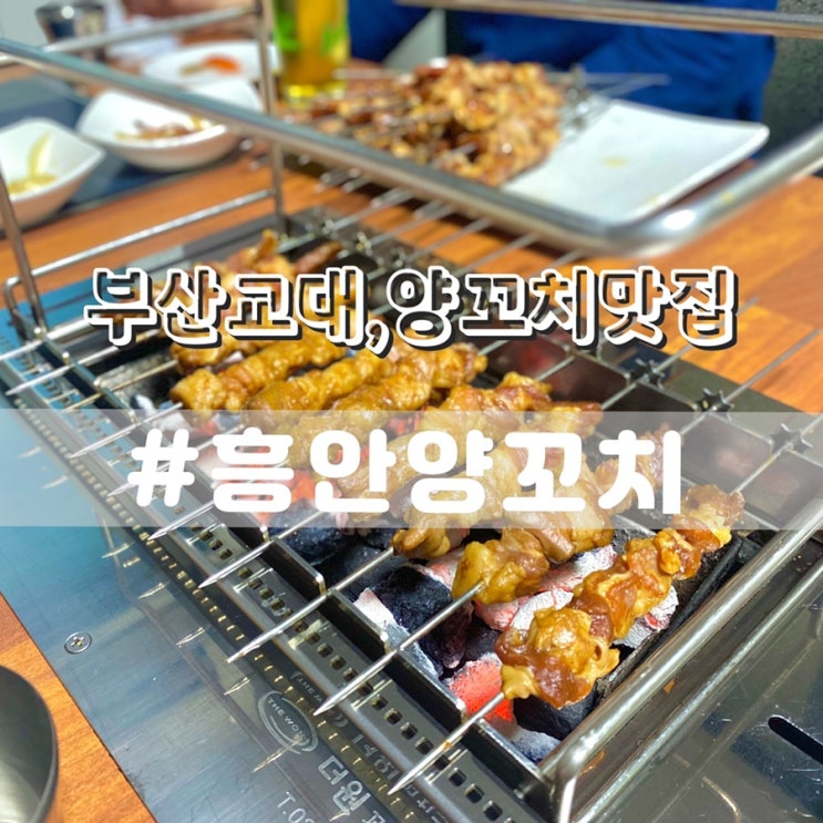  부산교대 맛집 흥안양꼬치 부산교대 술집 추천
