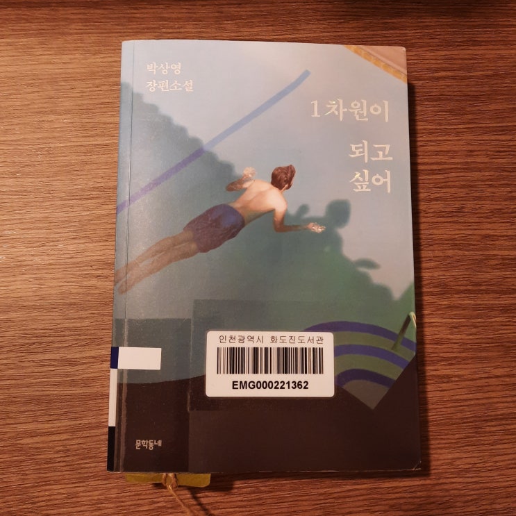  1차원이 되고 싶어 : 그 시절, 10대의 사랑을 그린 박상영 퀴어 소설