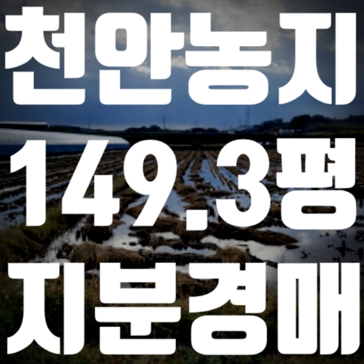 천안 성환 부동산 토지 경매