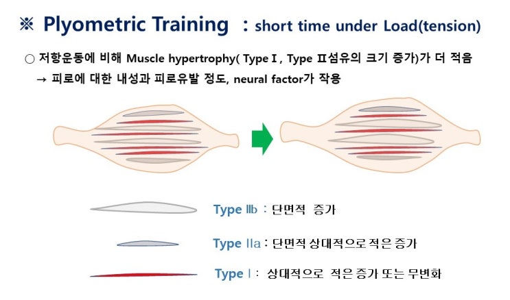  지근, 속근 섬유의 동원패턴과 근비대 훈련유형, "time under tension", "internal focus"의 개념