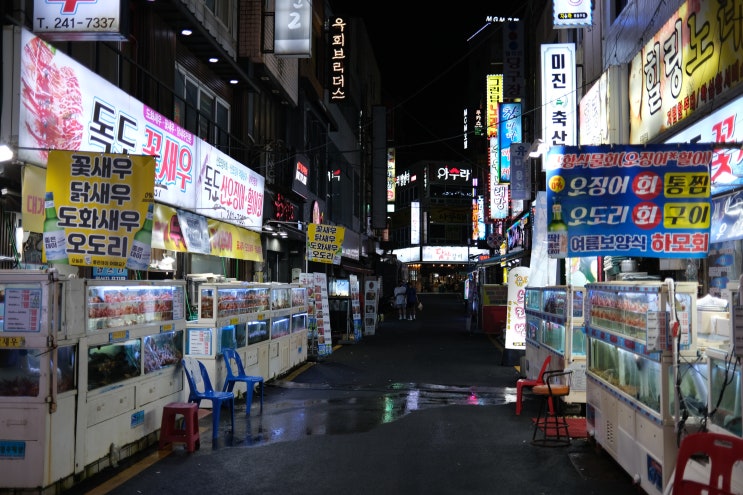  부산, 마산, 거제도 2박 3일 여행 - 2022.08