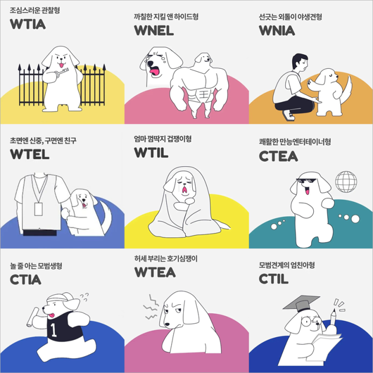  강아지 MBTI 성격 테스트 엠비티아이 보다 DBTI