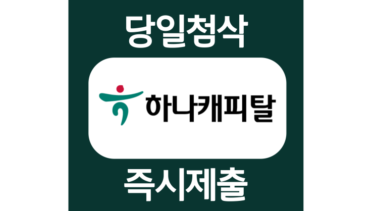 하나캐피탈 채용연계형 인턴 자소서항목 자기소개서 문항 작성방법 첨삭 대필 하나캐피탈 채용연계형 인턴 자소서항목 자기소개서 문항 작성방법 첨삭 대필