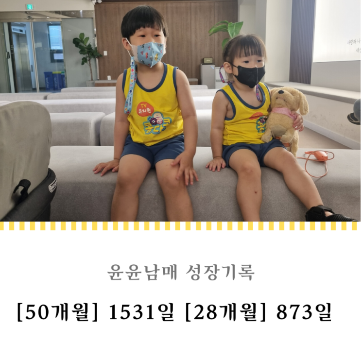  1531일 873일 : 눈두덩이 빨개짐 원인은 알레르기