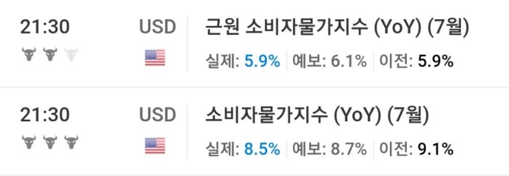  7월 미국 소비자물가 지수 CPI 8.5%