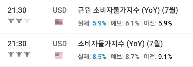 7월 미국 소비자물가 지수 CPI 8.5%