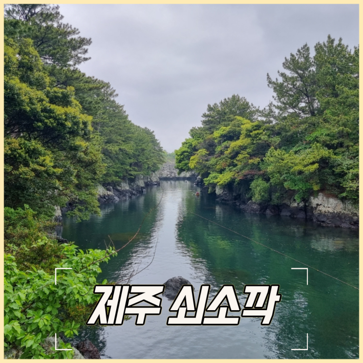 제주 쇠소깍 산물관광농원, 테우 예약 外 여행 후기
