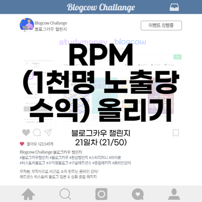  블로그카우 챌린지 21일차 RPM(1,000명 노출당 수익) 올리기