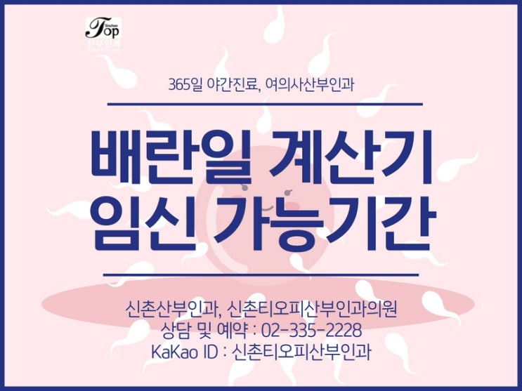 배란일 계산기, 임신이 가능한 시기 계산하는 방법 배란일 계산기, 임신이 가능한 시기 계산하는 방법