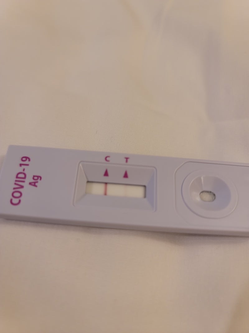 신랑 코로나 증상 순서(설사, 어지러움, 두통, 근육통, 컨디션 불량, 식은땀, 콧물, 기침), 재감염 확률? 7