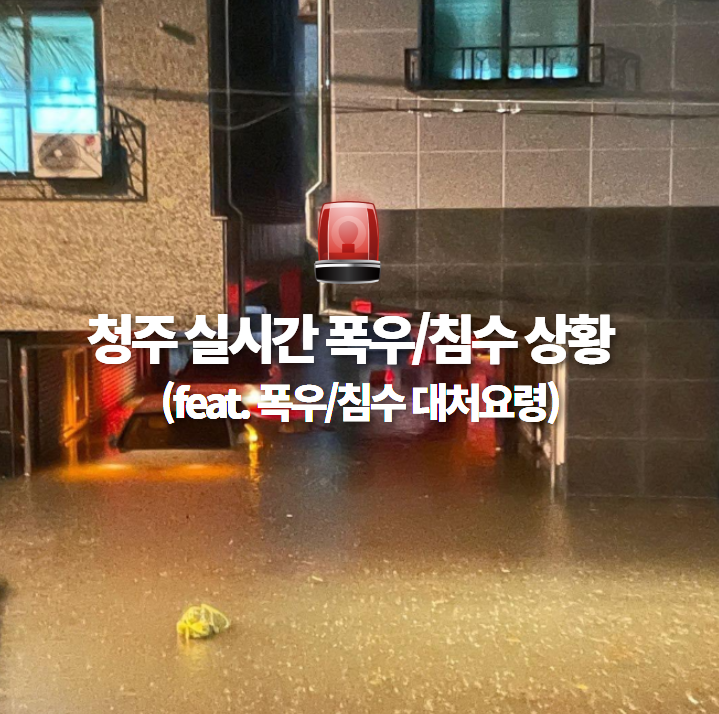 충청도 청주 폭우 실시간 모습(feat. 폭우, 침수 상황별 메뉴얼)