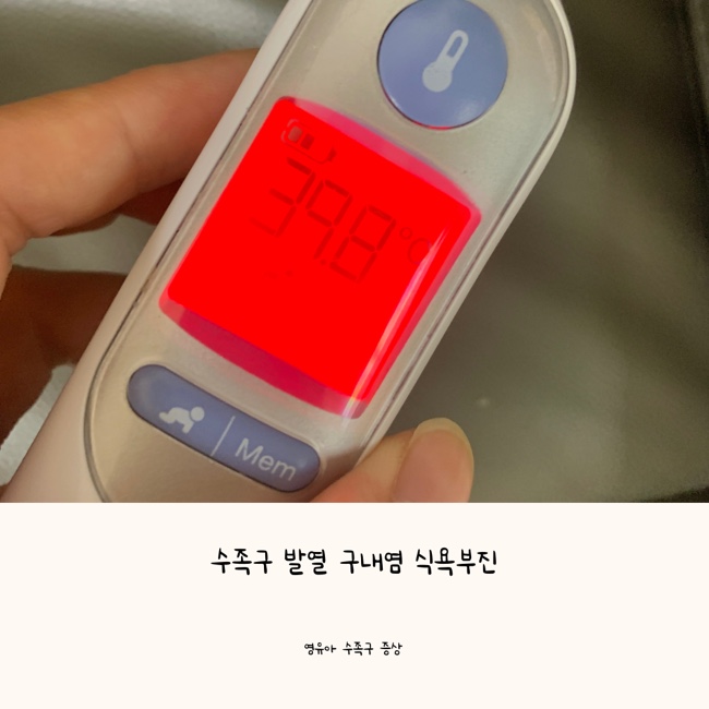  수족구 증상 고열(40도), 구내염, 식욕부진 | 약한 수족구 ? 방심하지마세요