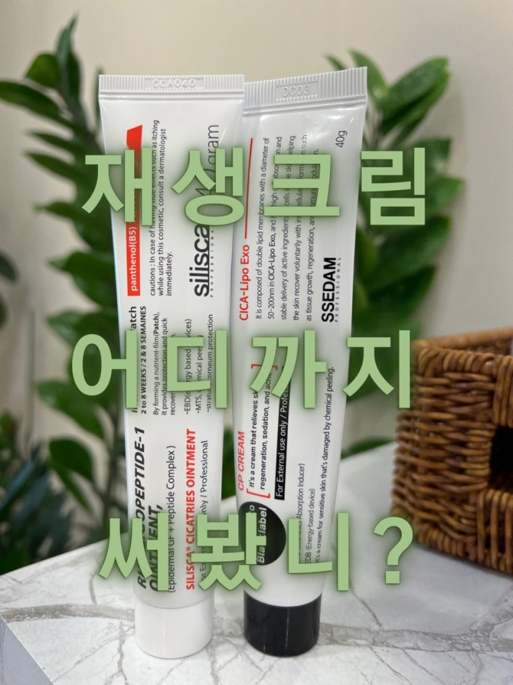  피부과 데미지시술후  피부재생크림 추천
