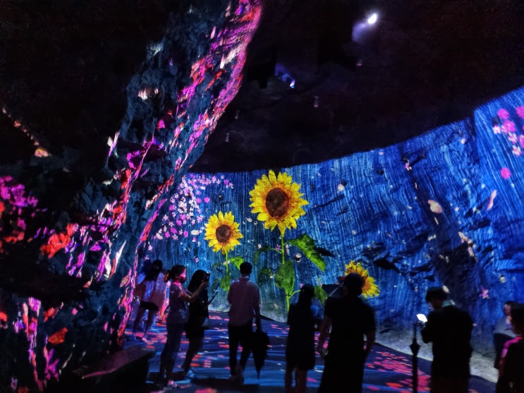  화암동굴, 꿈꾸는정원, 미디어아트,