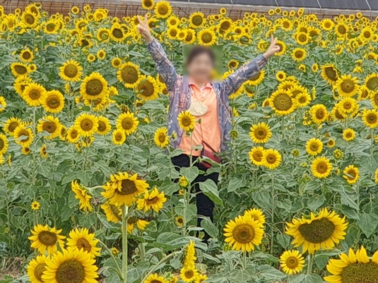  호미곶