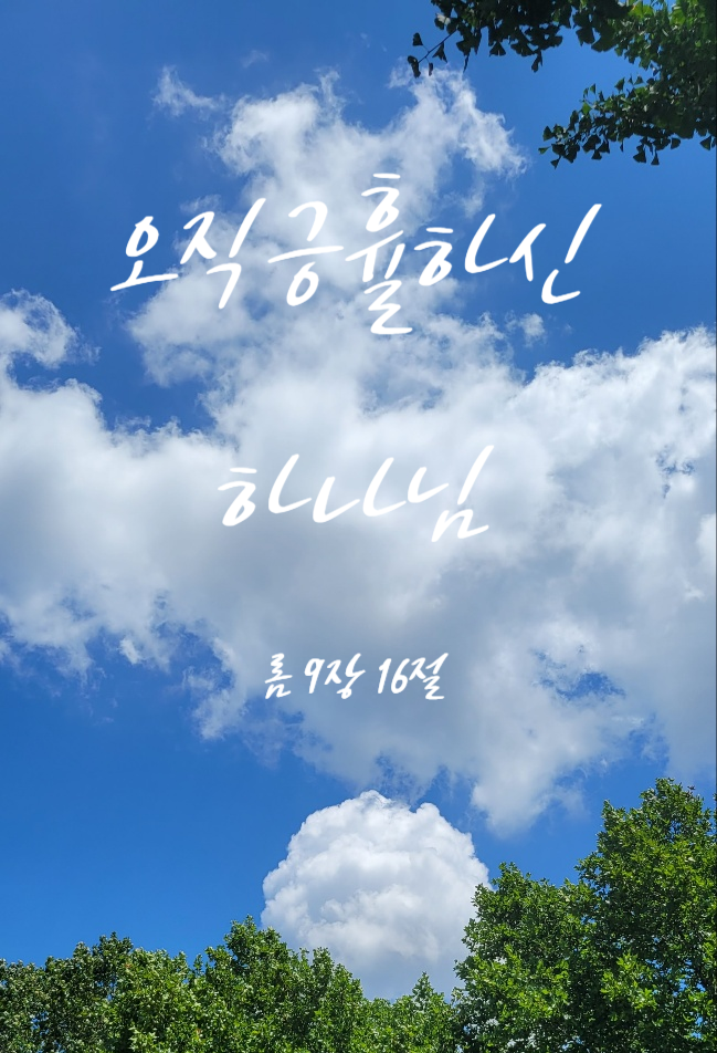  [성경 말씀 큐티] 로마서 9장 14절-18절 '긍휼하신 하나님'