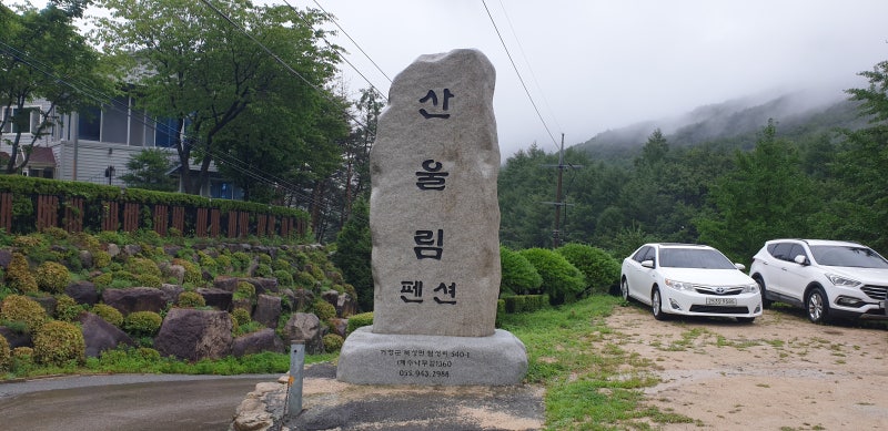 사진 3