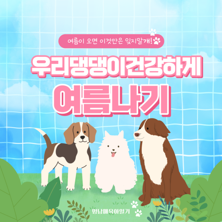  강아지 여름나기 편 , 열사병Heat Stroke