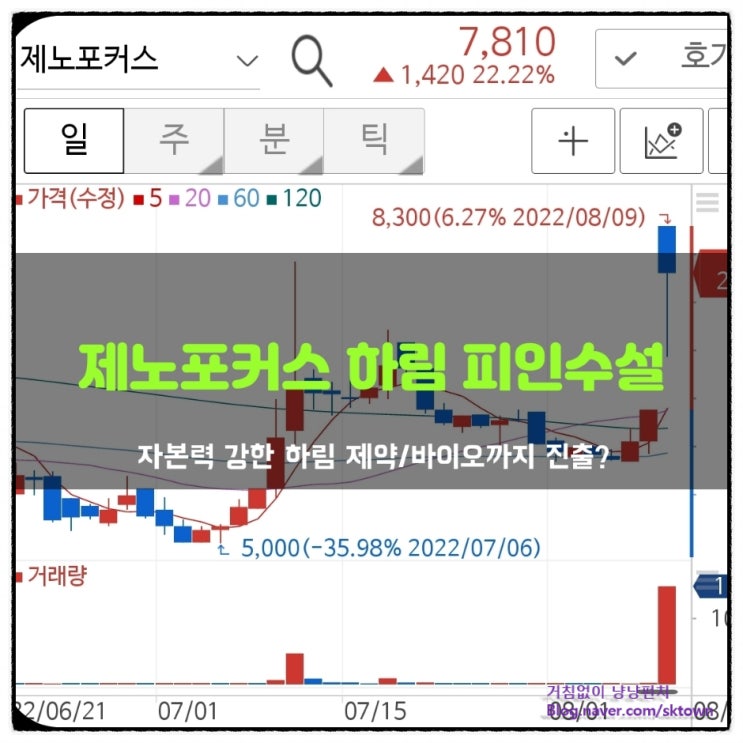  큰손 하림의 바이오산업 진출. 제노포커스 인수 추진설