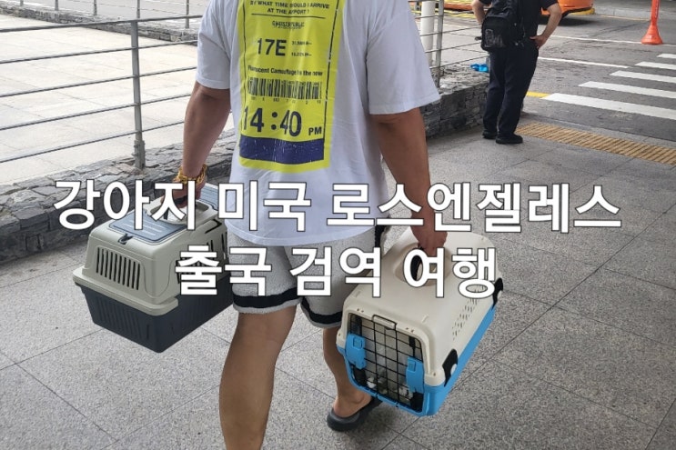  강아지 미국 로스엔젤레스 출국 검역 여행
