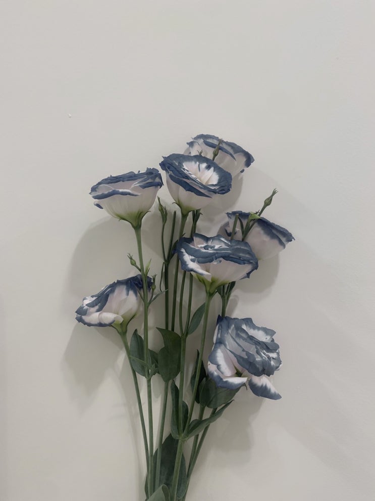  행복 뭐 별거 있나요