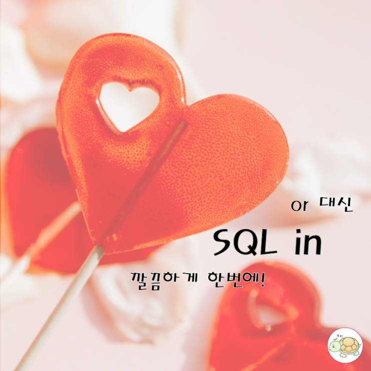 SQL in 연산자